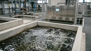 Bild foto-sbr-anlage-betrieb.jpg