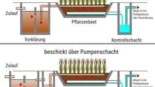 Bild pflanzenklaeranlage-bewachsener-bodenfilter.png